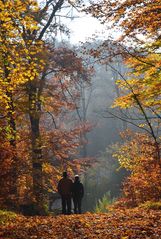 Spaziergang im Herbst