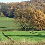 Spaziergang im Herbst