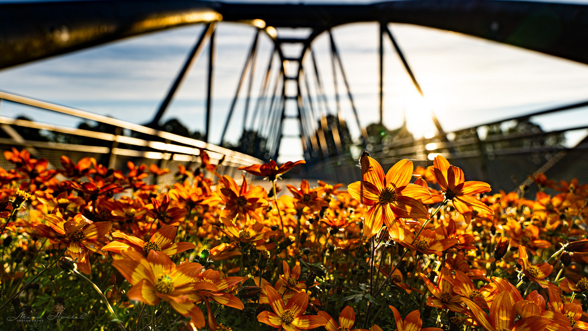 Spaziergang im Herbst