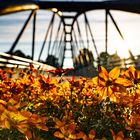 Spaziergang im Herbst