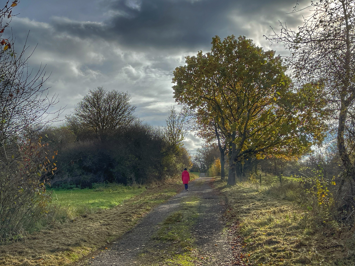 Spaziergang im Herbst