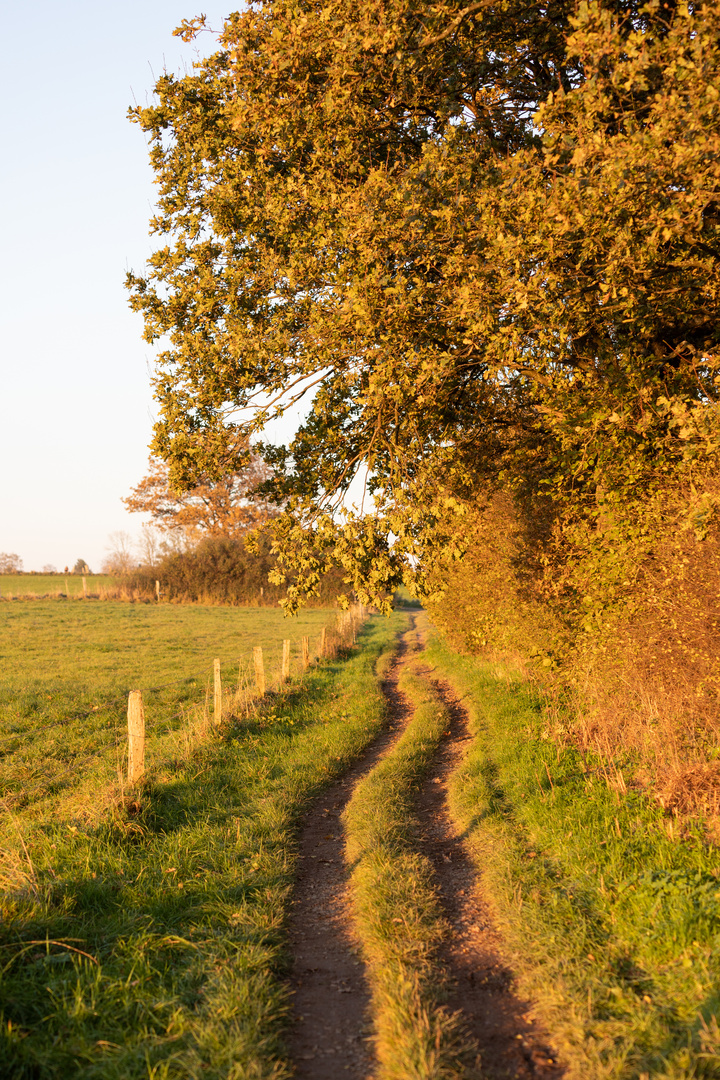 Spaziergang im Herbst ... 