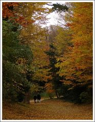 Spaziergang im Herbst