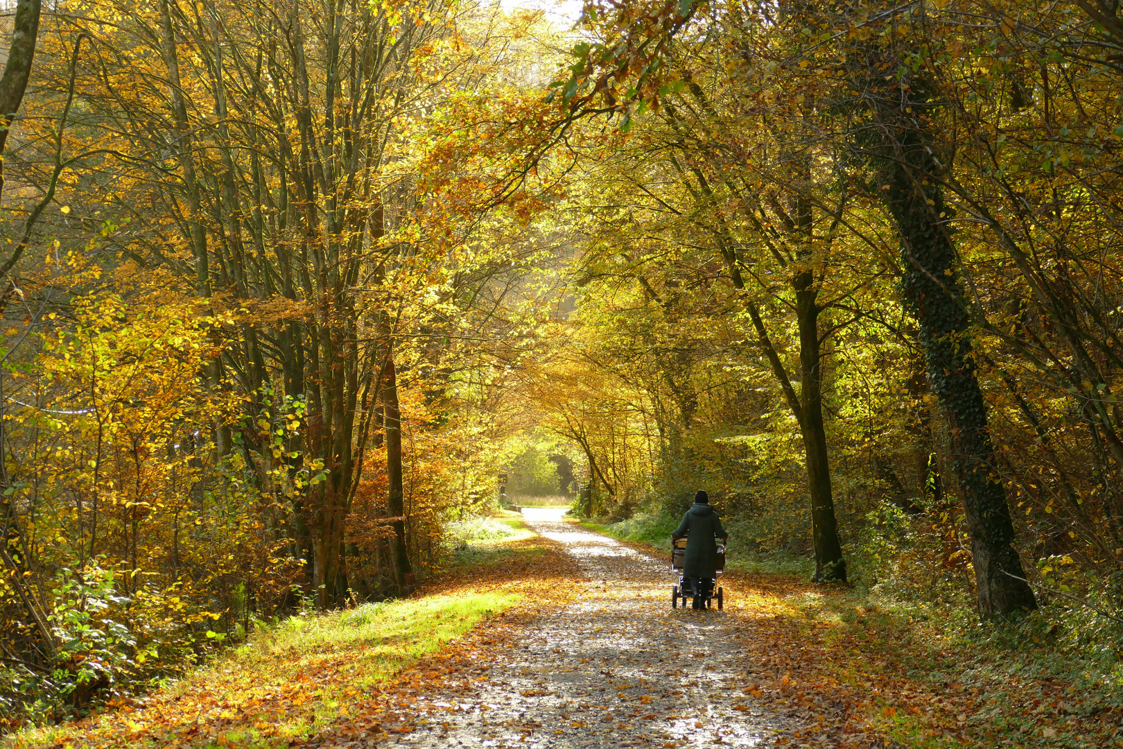 °°°° Spaziergang im Herbst °°°°