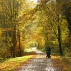 °°°° Spaziergang im Herbst °°°°