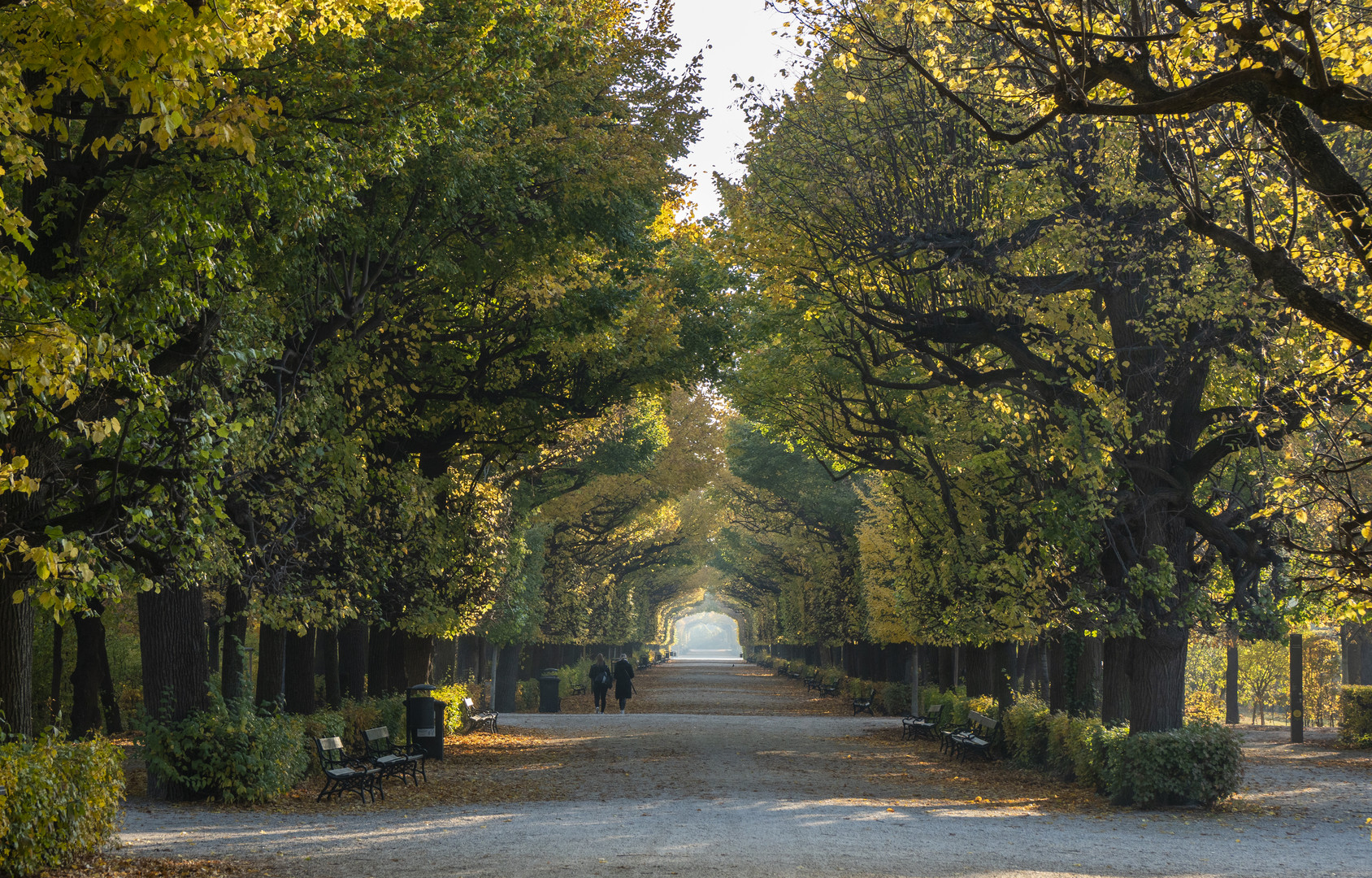 SPAZIERGANG IM HERBST