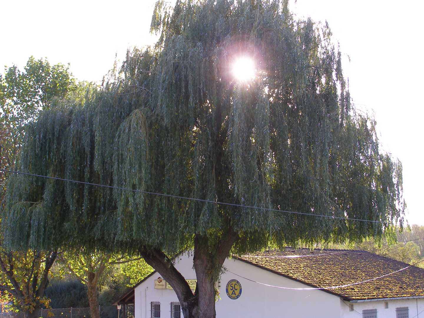 Spaziergang im Herbst