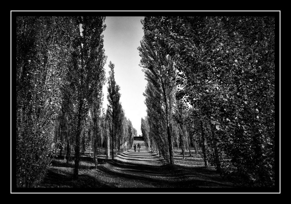 Spaziergang im Herbst / Westpark Bochum