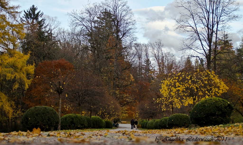 Spaziergang im herbstlichen Park