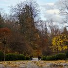 Spaziergang im herbstlichen Park