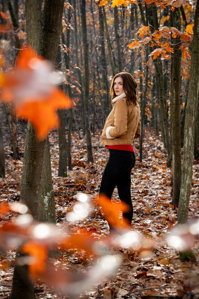 Spaziergang im Herbstwald