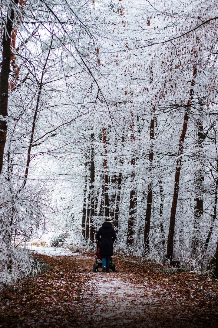 Spaziergang im Herbst/Winter Style