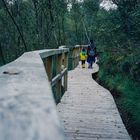 Spaziergang im Himmelmoor