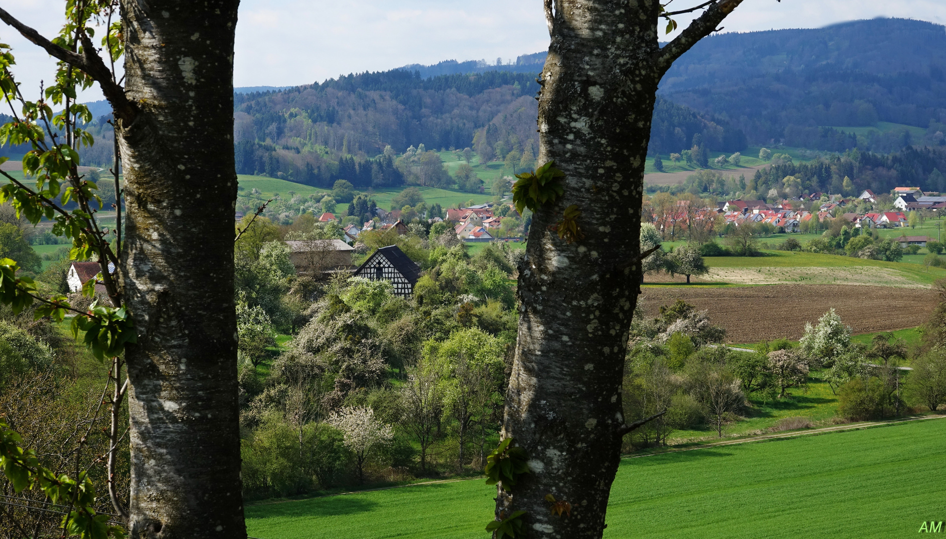 Spaziergang im Hinterland vom Bodensee