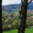 Spaziergang im Hinterland vom Bodensee