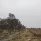 Spaziergang im Hochmoor "Ewiges Meer" Ostfriesland