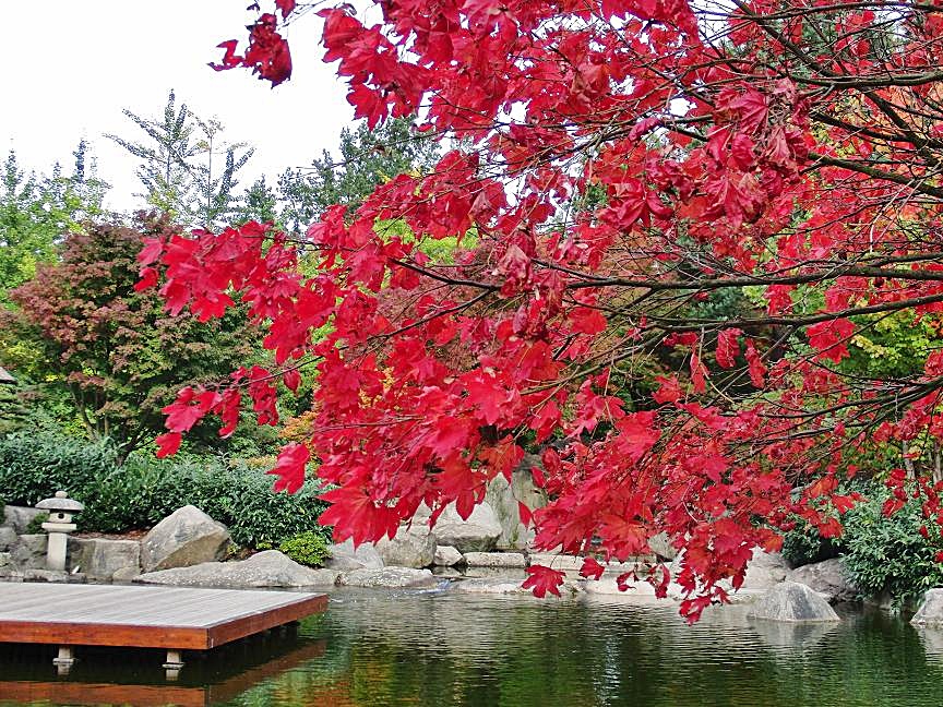 Spaziergang im japanischen Garten