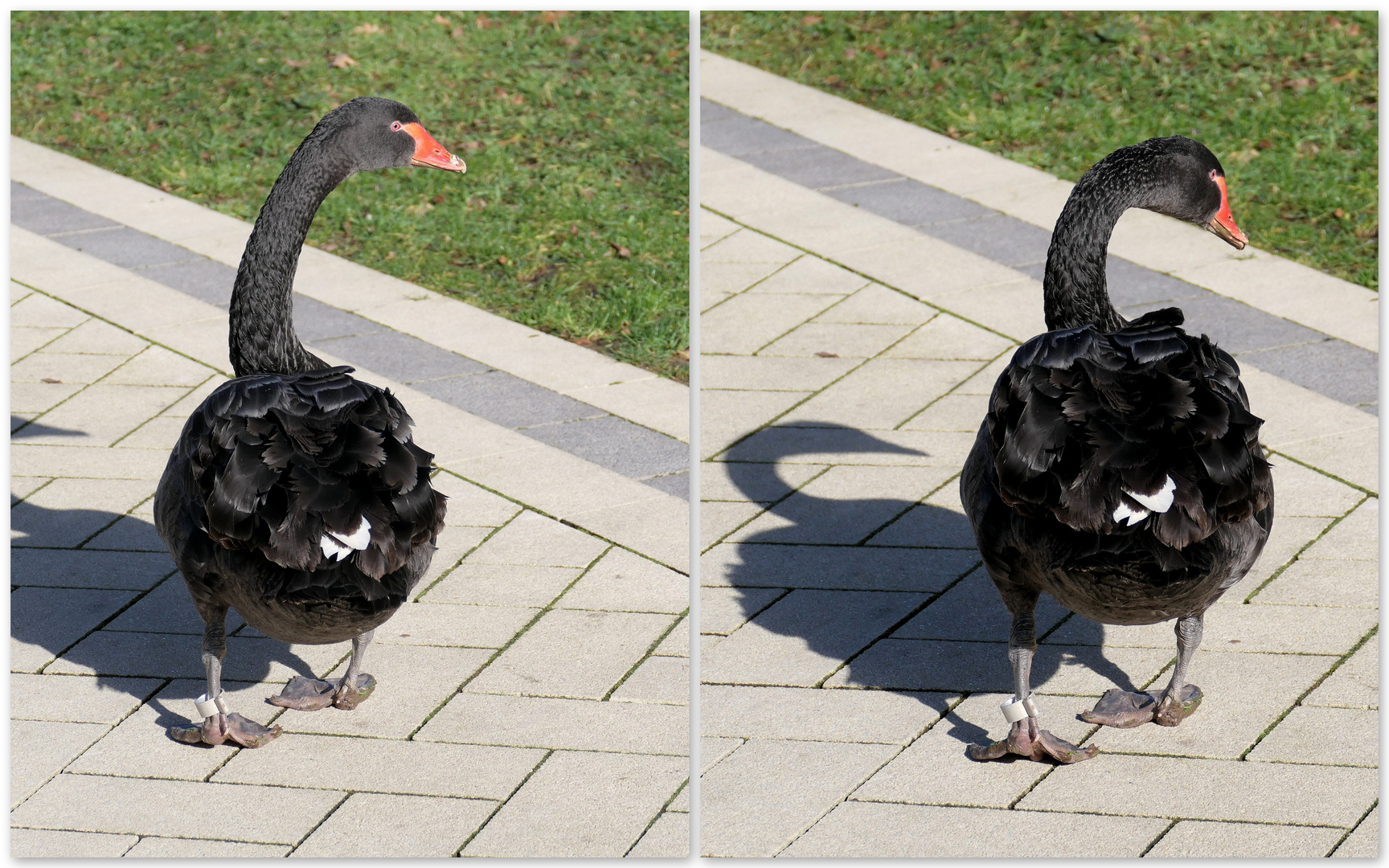 Spaziergang im Kurpark