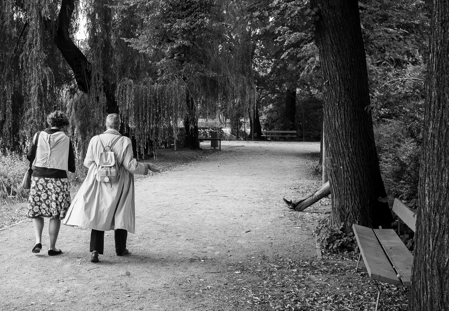 spaziergang Im luisenpark