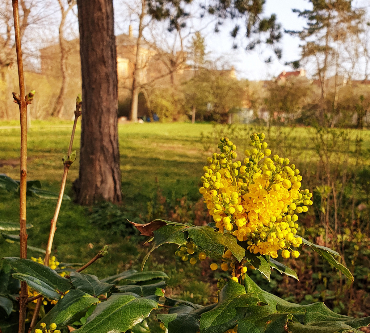 Spaziergang im März