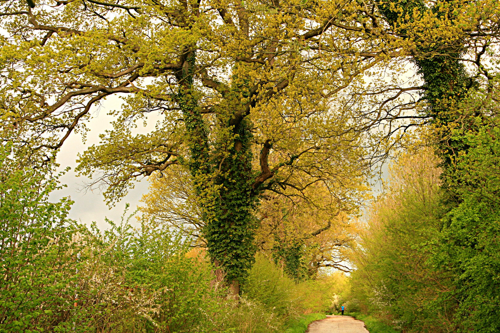 Spaziergang im Mai