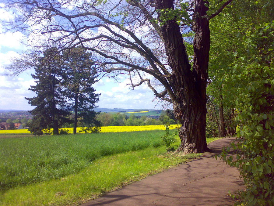 Spaziergang im Mai