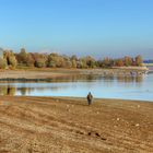 Spaziergang im Möhnesee