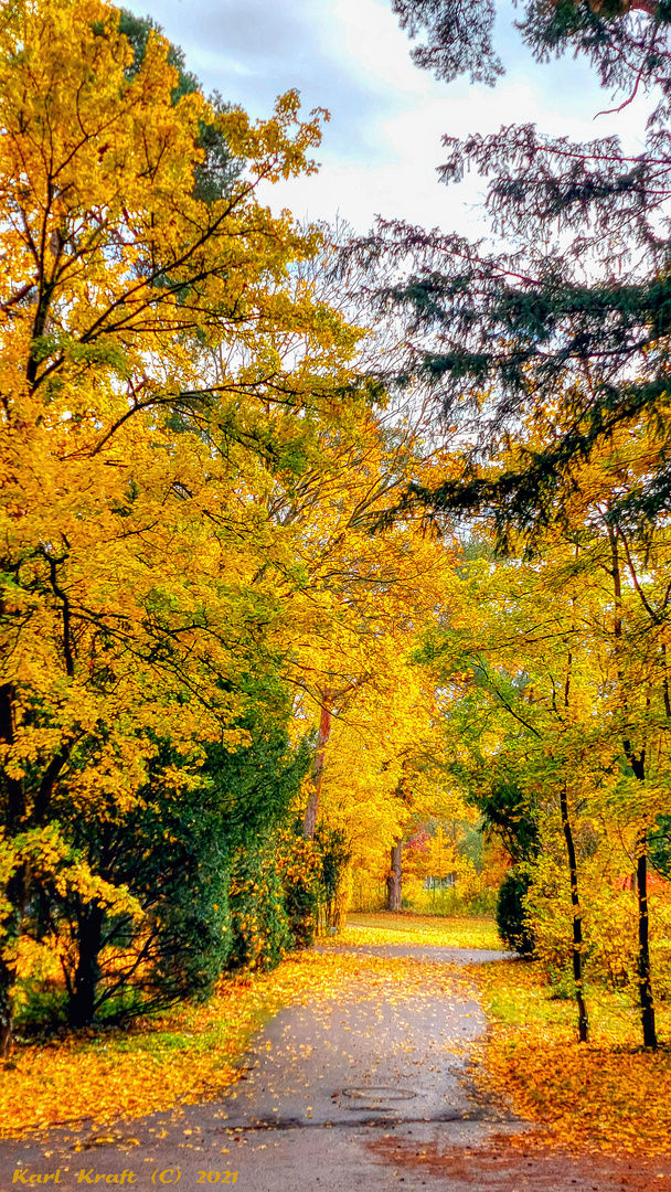 Spaziergang im Mombacher Waldfriedhof