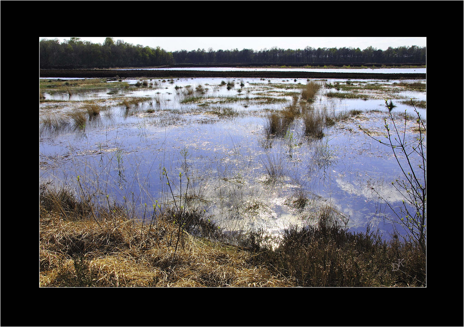 Spaziergang im Moor