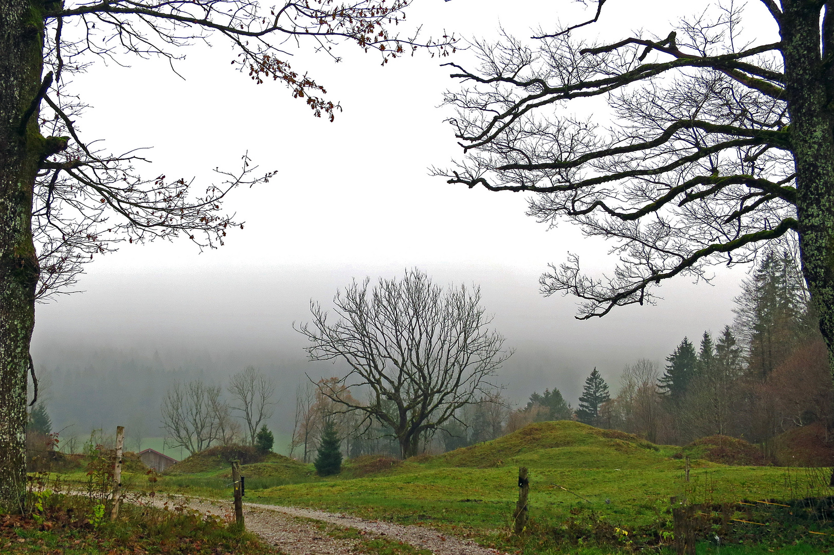 Spaziergang im Morgenenbel