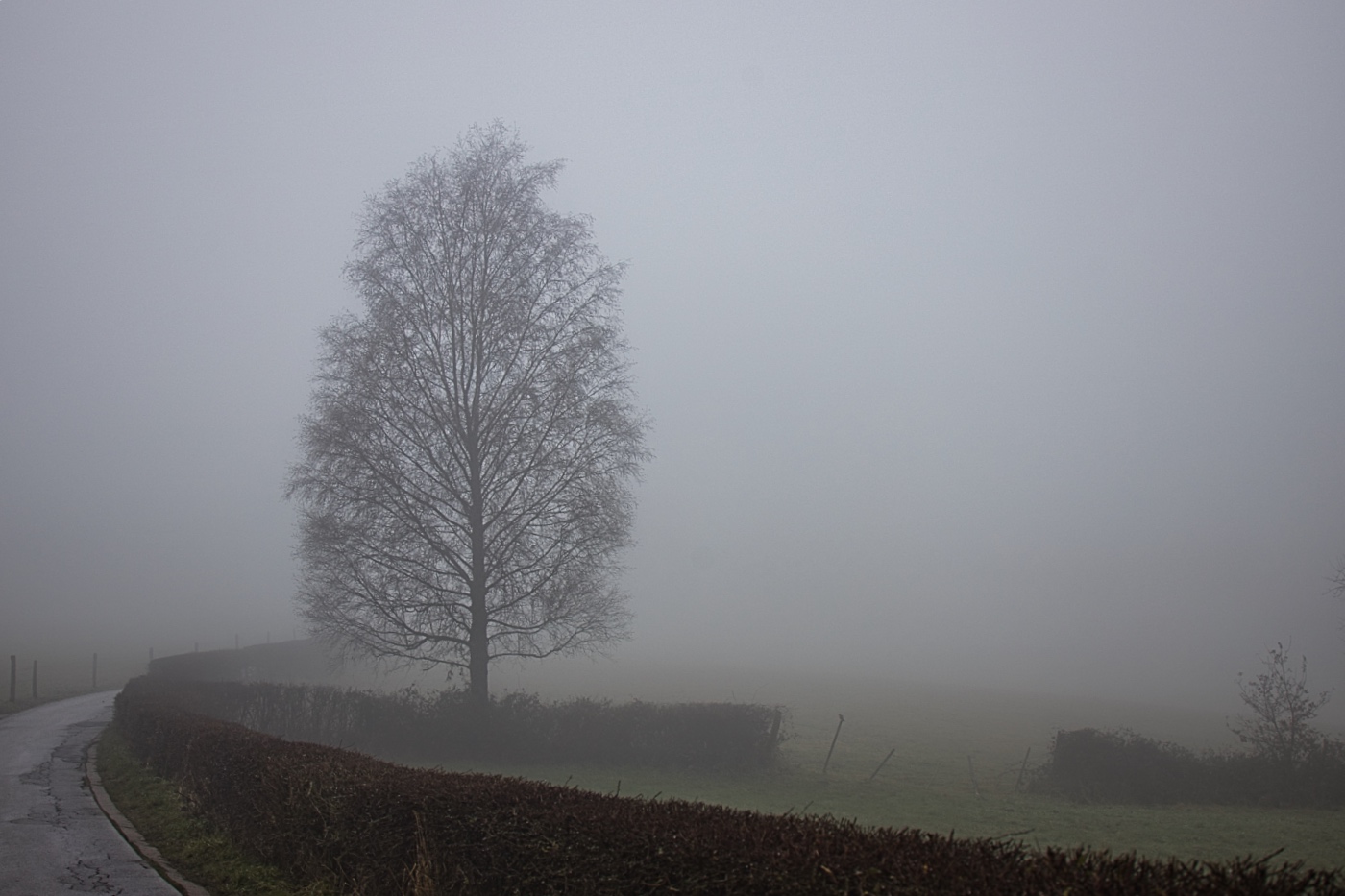 Spaziergang im Nebel