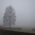 Spaziergang im Nebel