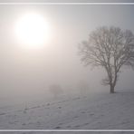 Spaziergang im Nebel