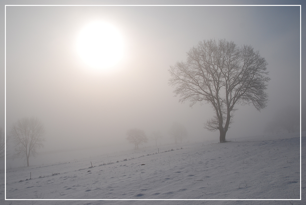 Spaziergang im Nebel