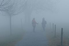 Spaziergang im Nebel 