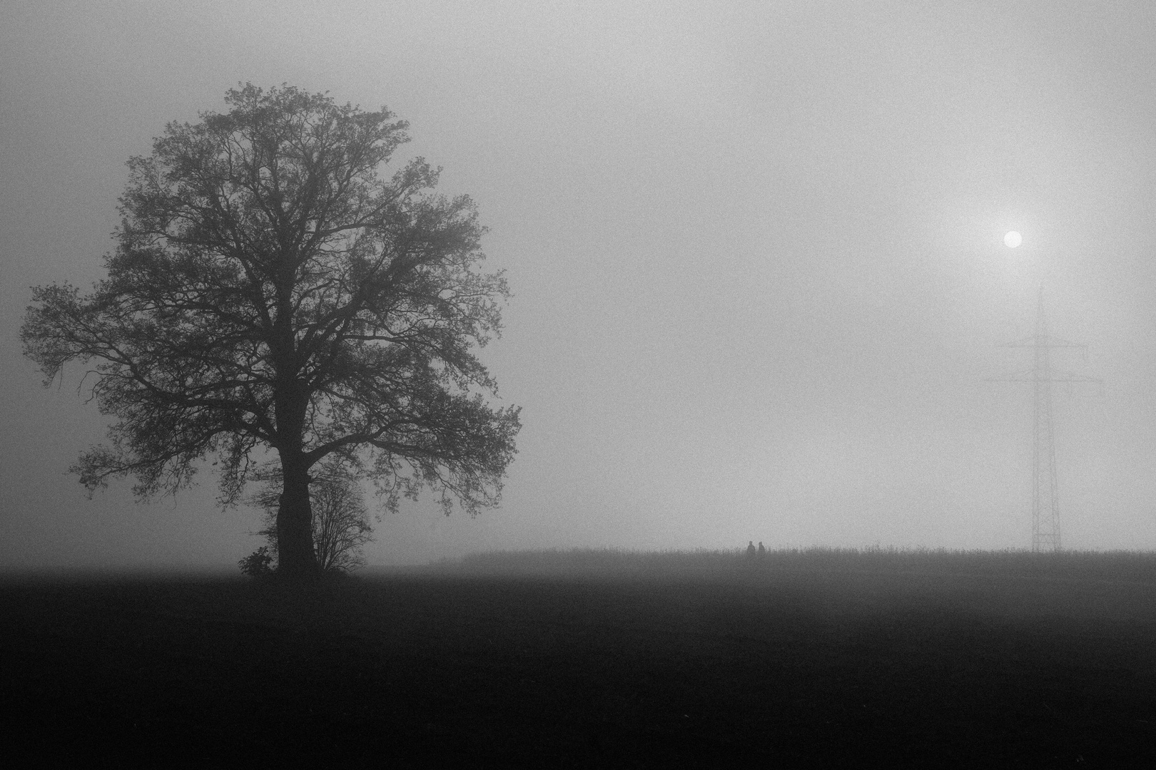 Spaziergang im Nebel