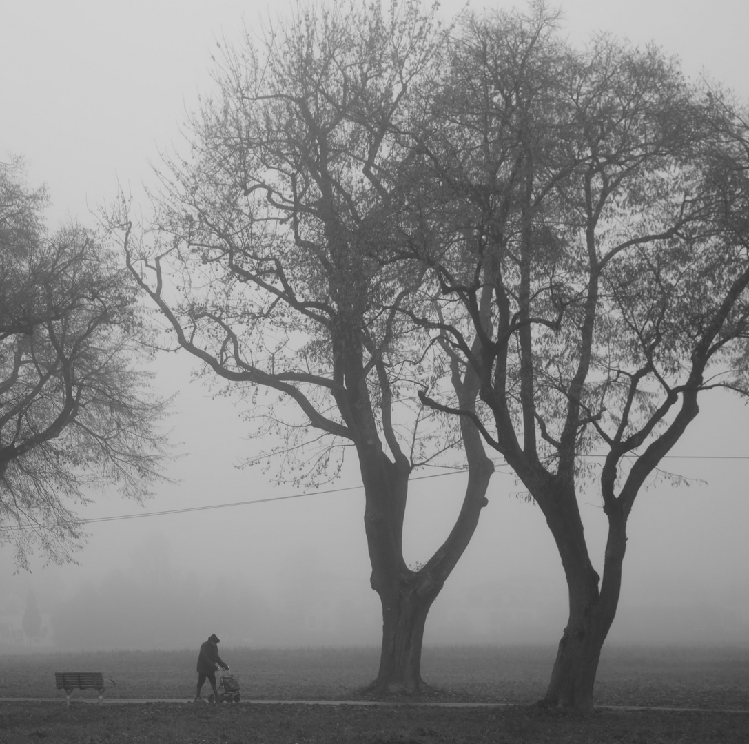 Spaziergang im Nebel