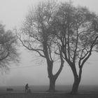 Spaziergang im Nebel