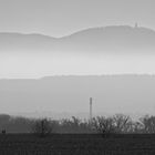 Spaziergang im Nebel