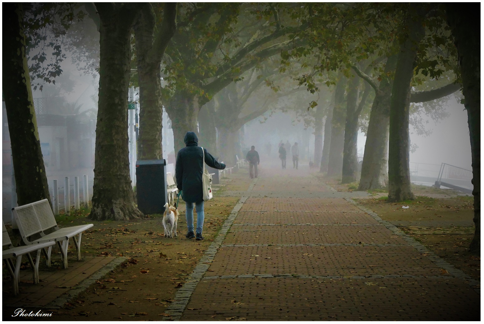 Spaziergang im Nebel