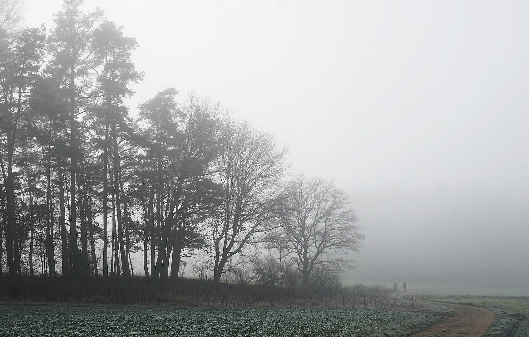 Spaziergang im Nebel