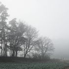 Spaziergang im Nebel