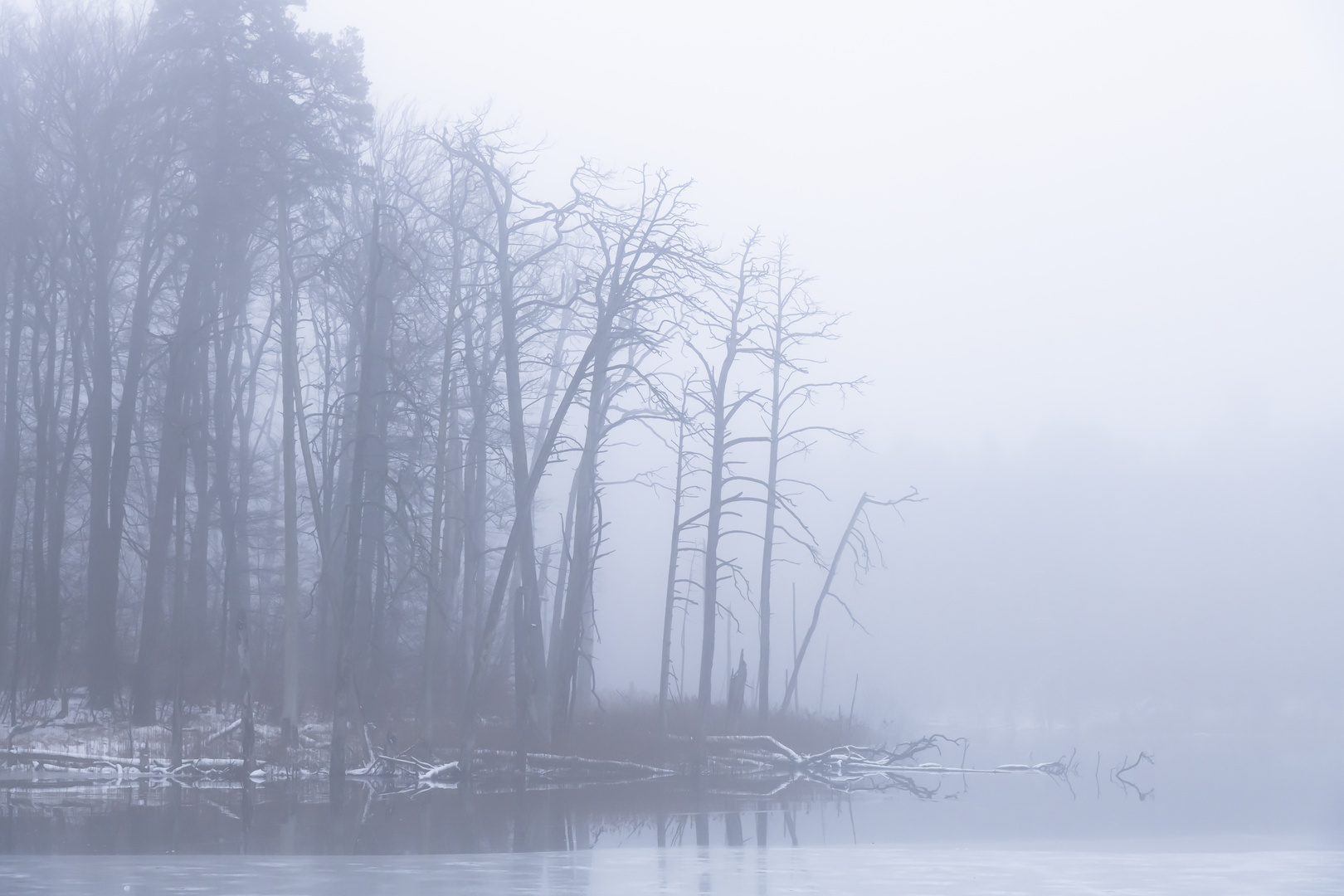 Spaziergang im Nebel