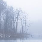 Spaziergang im Nebel