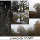 Spaziergang im Nebel 