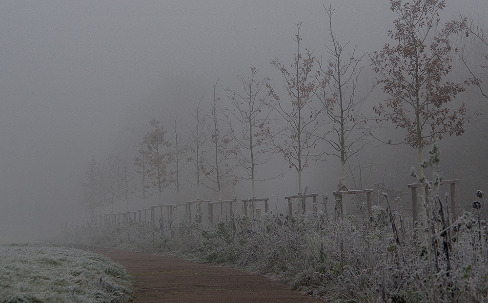 Spaziergang im Nebel