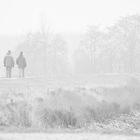 Spaziergang im Nebel