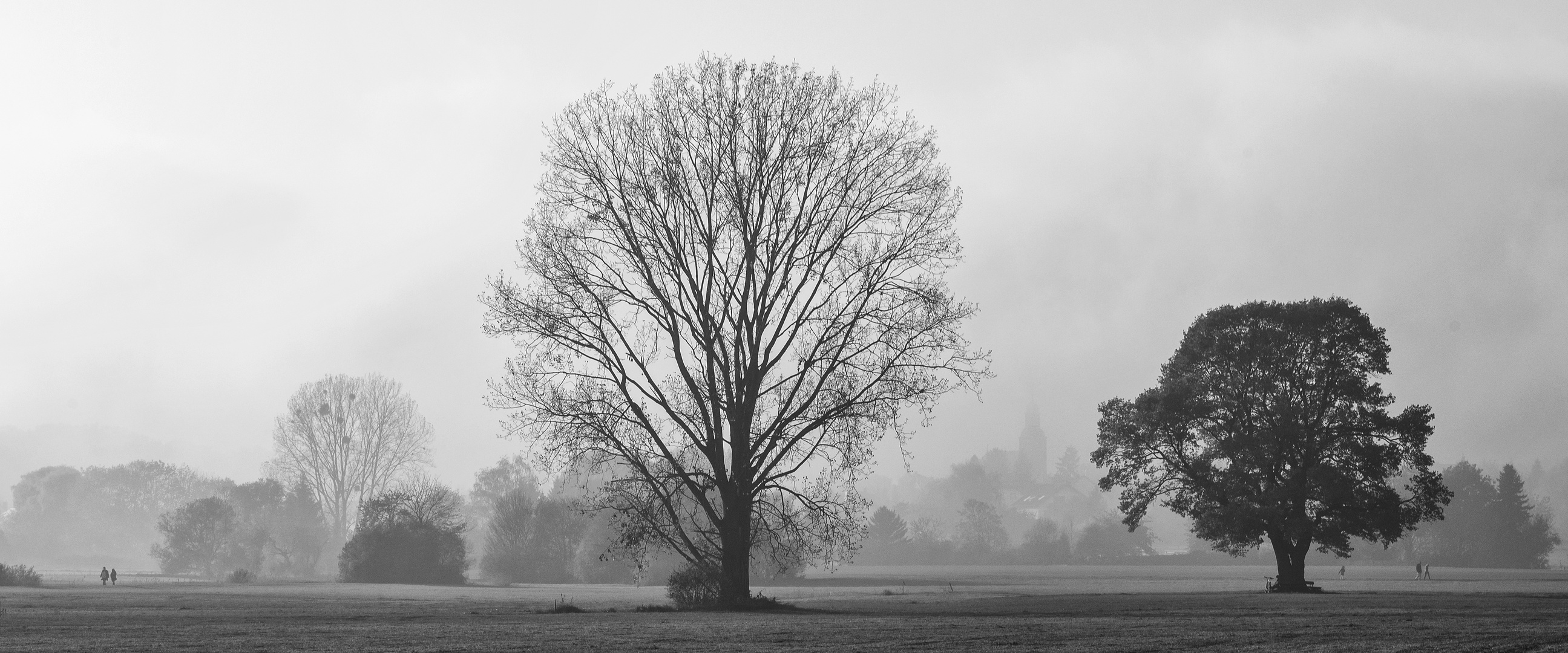 Spaziergang im Nebel