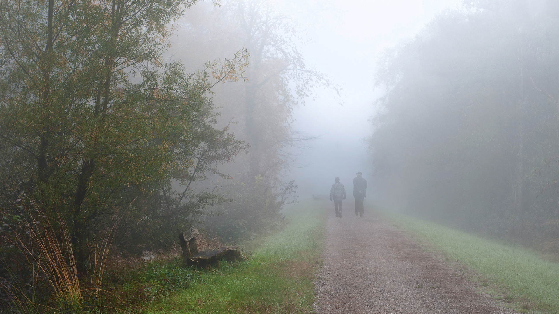 Spaziergang im Nebel