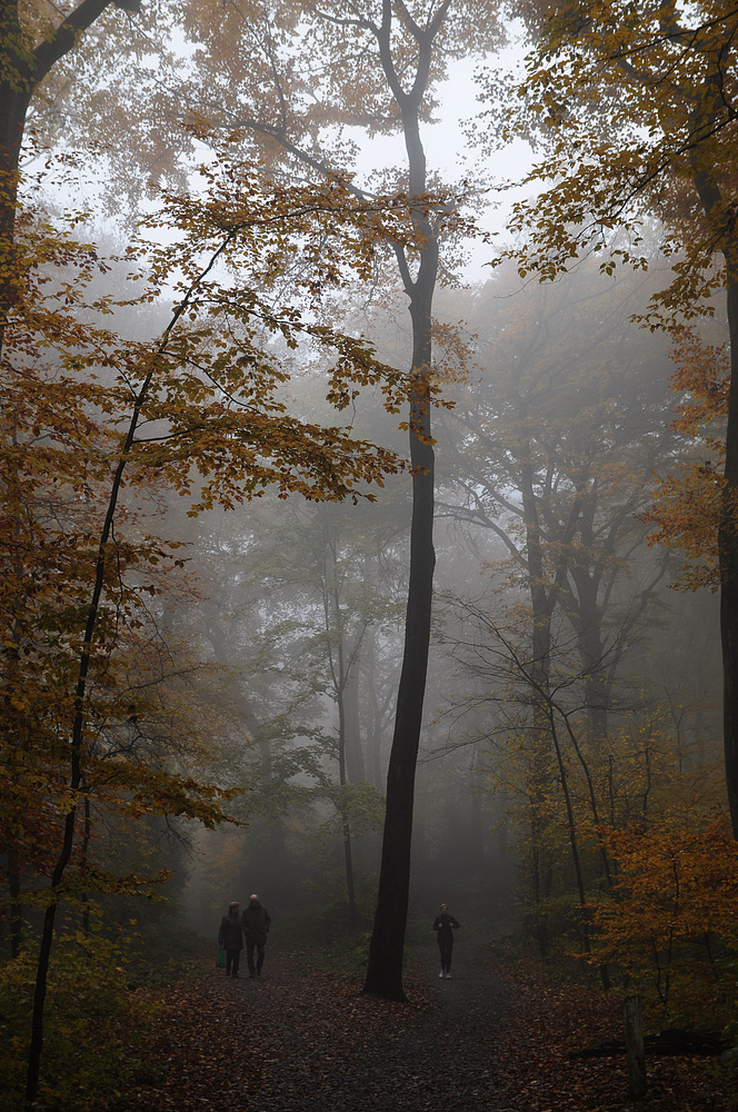 Spaziergang im Nebel